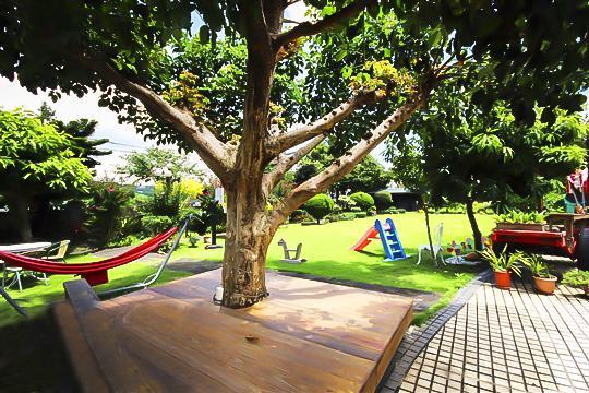 Taichung Xinshe Garden Life Homestay B&B Bagian luar foto