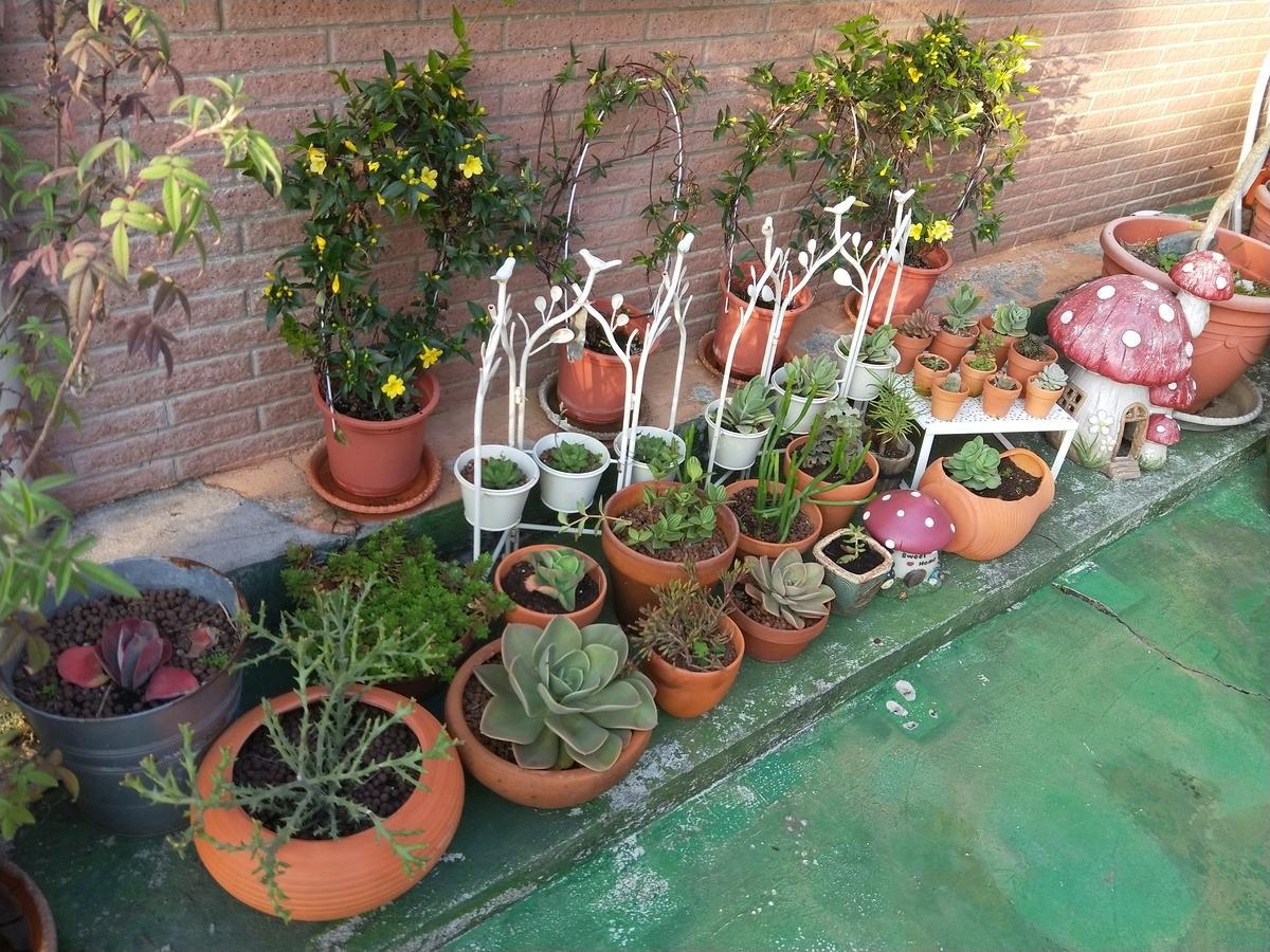Taichung Xinshe Garden Life Homestay B&B Bagian luar foto