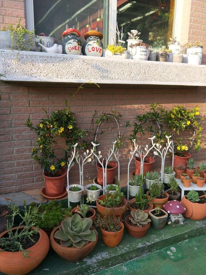 Taichung Xinshe Garden Life Homestay B&B Bagian luar foto